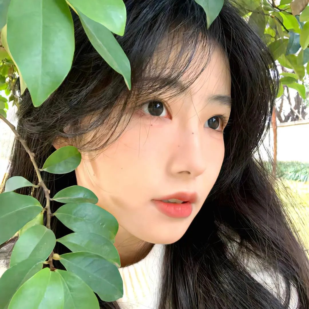恐惧回声